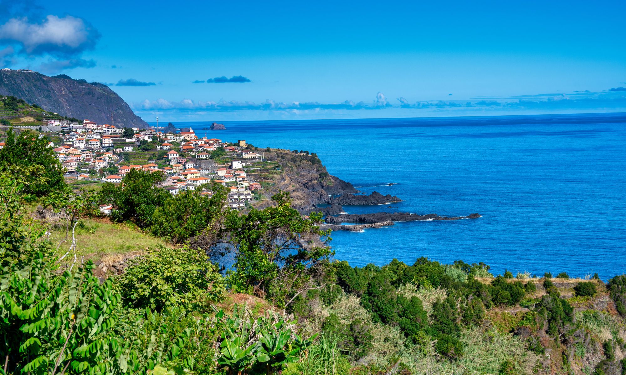 Madeira Ever Green Travel
